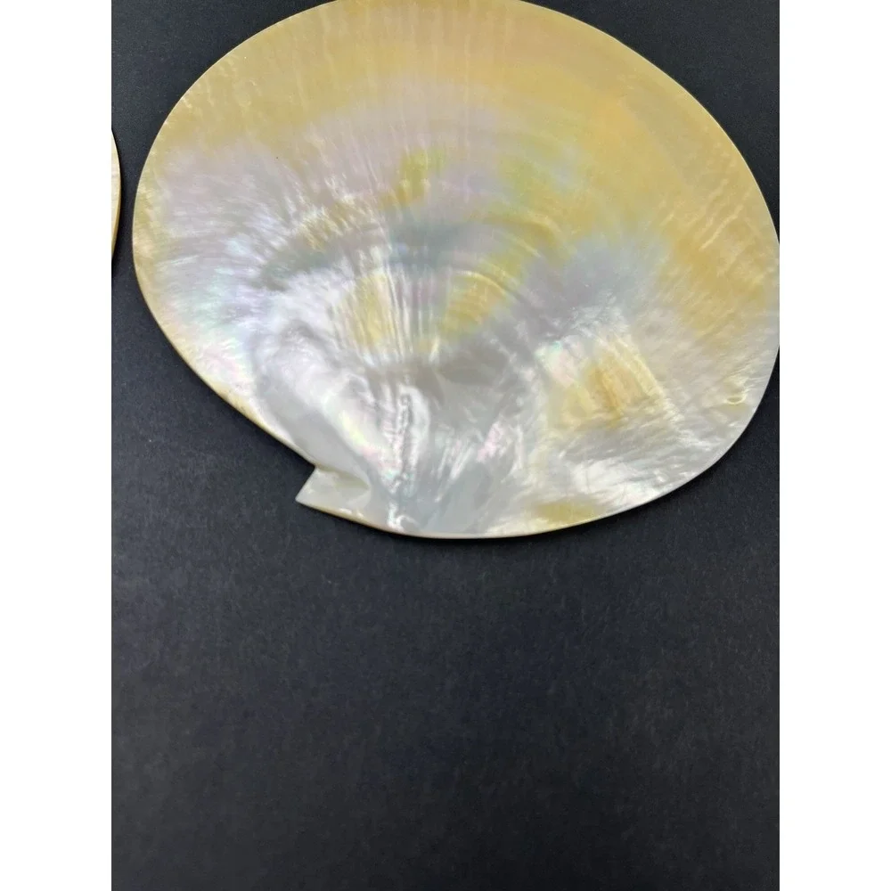 2 x Genuine Mother Of Pearl Sea Shell Caviar Dish Appetizer Plate 5.5